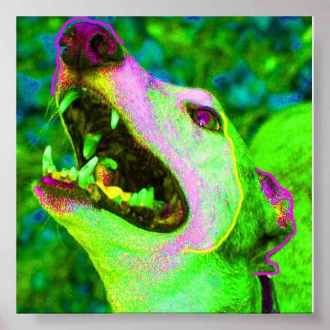 Poster Crisco (Frente)