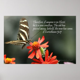 Poster cristão - borboleta - criação nova