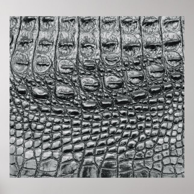 Poster Crocodilo Noir: Preto Couro Mito (Frente)