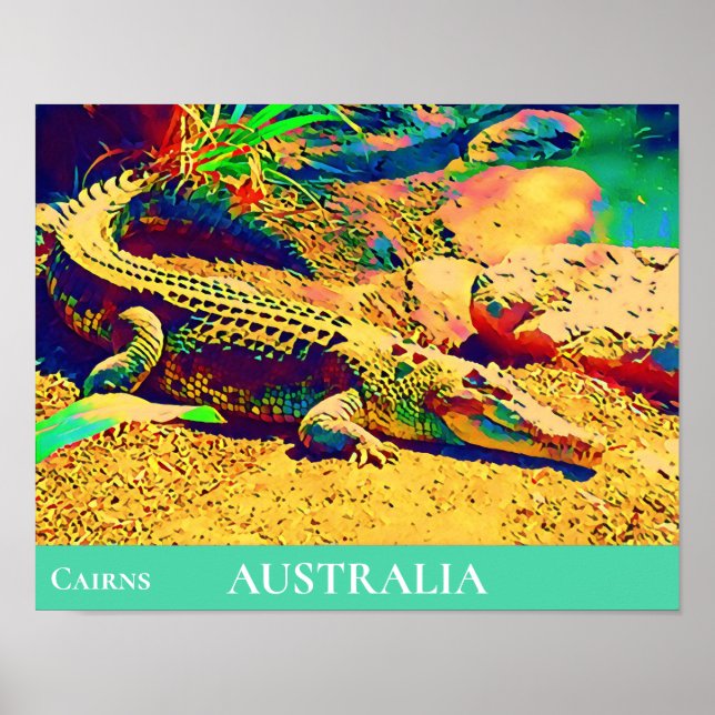 Poster Crocodilo réptil Tropical Queensland Austrália (Frente)