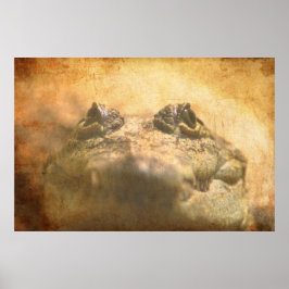 Pôster Crocodylus Moreletii Fechar