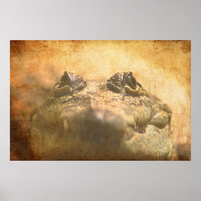 Pôster Crocodylus Moreletii Fechar (Frente)