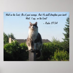Pôster Cross Eyed cat and Psalm 27:14
