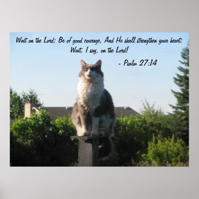 Pôster Cross Eyed cat and Psalm 27:14 (Frente)