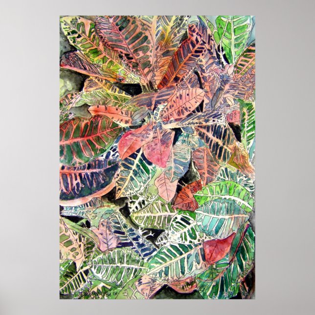 Poster croton_planta_pintura (Frente)