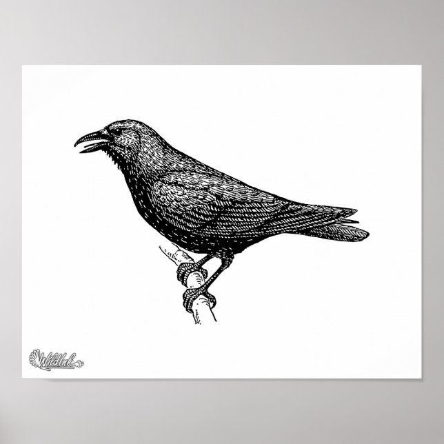 Pôster Crow Bird Art (Frente)