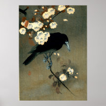 Crow & Blossom por Ohara Koson (1910)