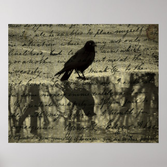 Poster Crow E Poe Papers (Frente)