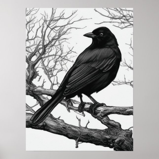 Poster Crow Perched on Bare Winter Branches (Frente)