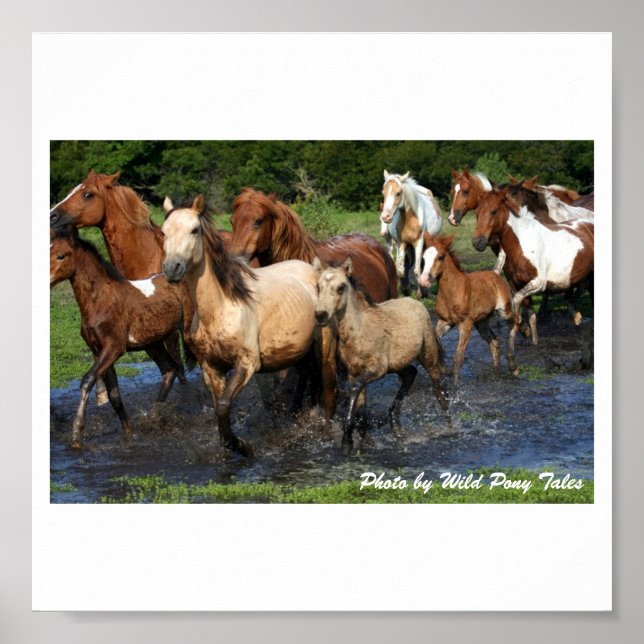 Pôster Cruzamento (Frente)