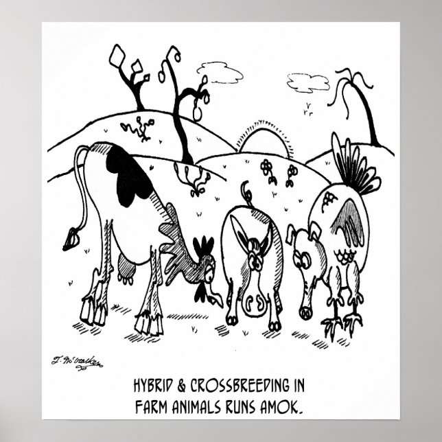 Poster Cruzamento - Corra Amok (Frente)