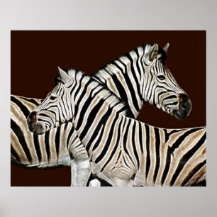 Poster Cruzamento de zebra