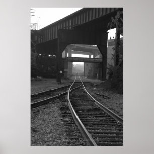 Poster Cruzamentos triplos