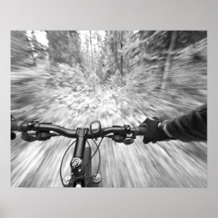 Pôster Cruzando uma seção buff de singletrack 2