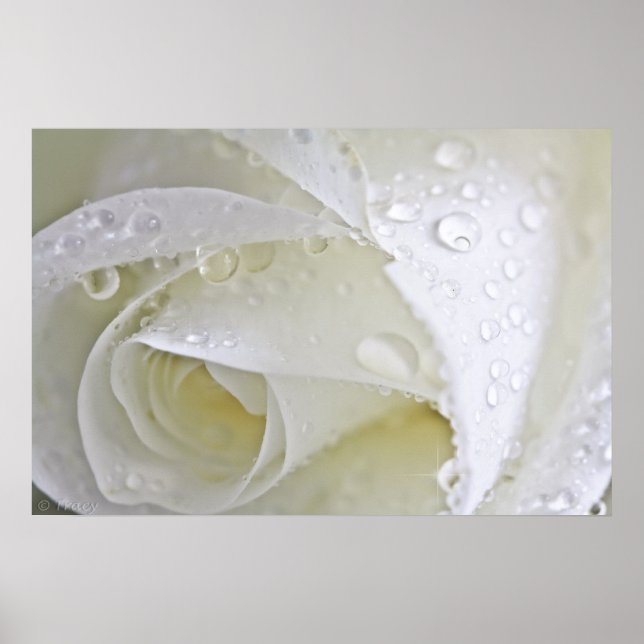 Pôster Crystal Rain (Frente)