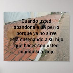 Poster cuando insistiu em abandonar un perro