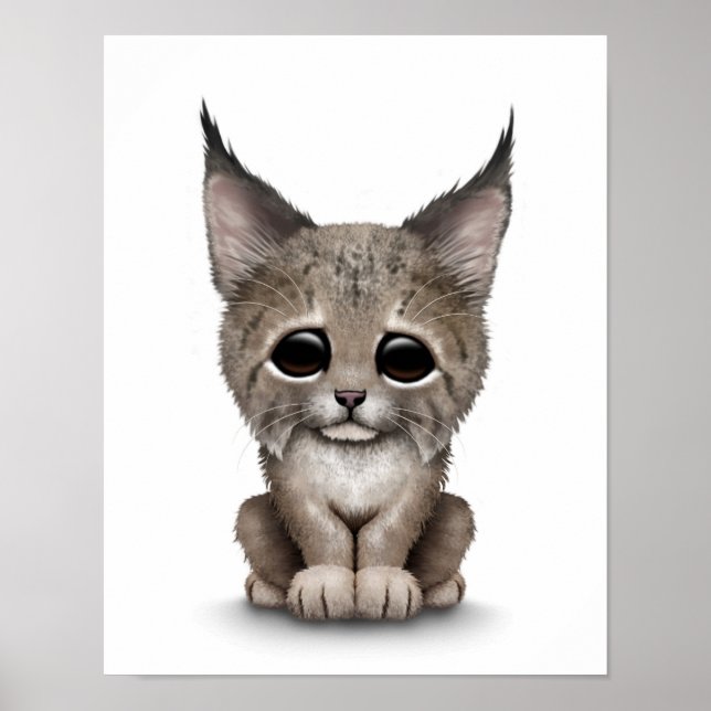 Poster Cubo Bonito de Lynx em Branco (Frente)