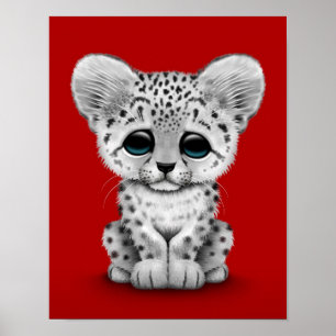 Pôster Cubo-leopardo-da-neve-branca em vermelho
