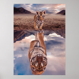 Poster Cubo Tiger olhando o reflexo de um tigre adulto