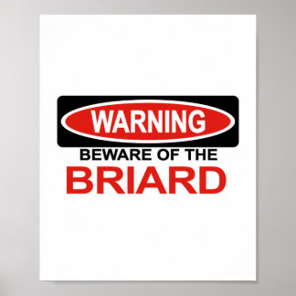 Poster Cuidado Com O Briard