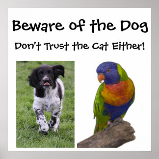 Poster Cuidado com o cachorro. Não confie no gato também!
