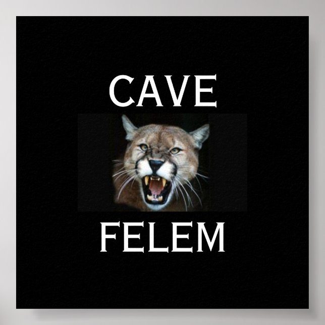 Pôster Cuidado Com O Gato Em Latim. -Personalizável (Frente)