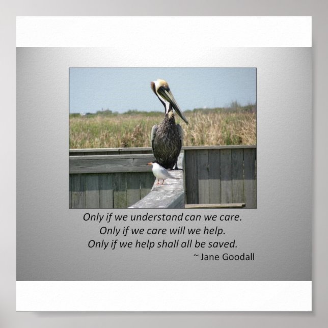 Pôster Cuidados (Frente)