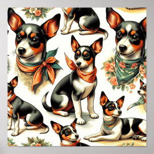 Poster Cuja Vintage Rat Terrier não parece