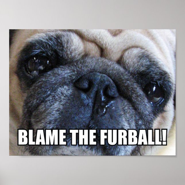 POSTER CULPE O FURBALL! ALLERGY MEME (Frente)