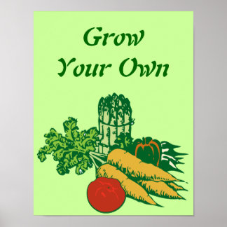 Poster Cultive Seus Próprios Legumes