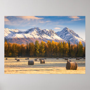 Poster Cultivo de Alaska