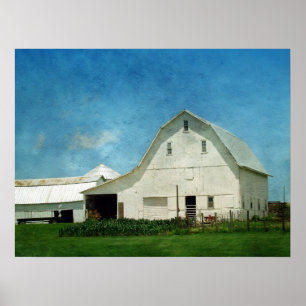 Pôster Cultivo em Iowa