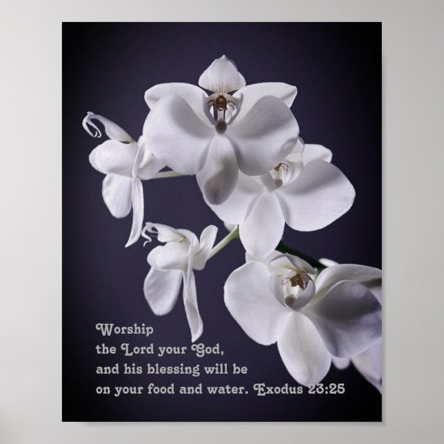 Poster "Culto Senhor Seu Deus" Êxodo 23:25 Profeto (Frente)