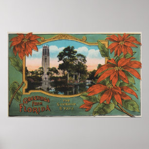 Pôster Cumprimentos de Florida sunshine state