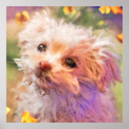 Poster Cupão de resgate maltês 2 olhando através das lágr