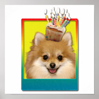 Pôster Cupcake de aniversário - Pomeraniano