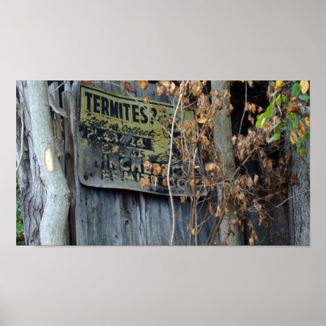 Poster cupins? (Frente)