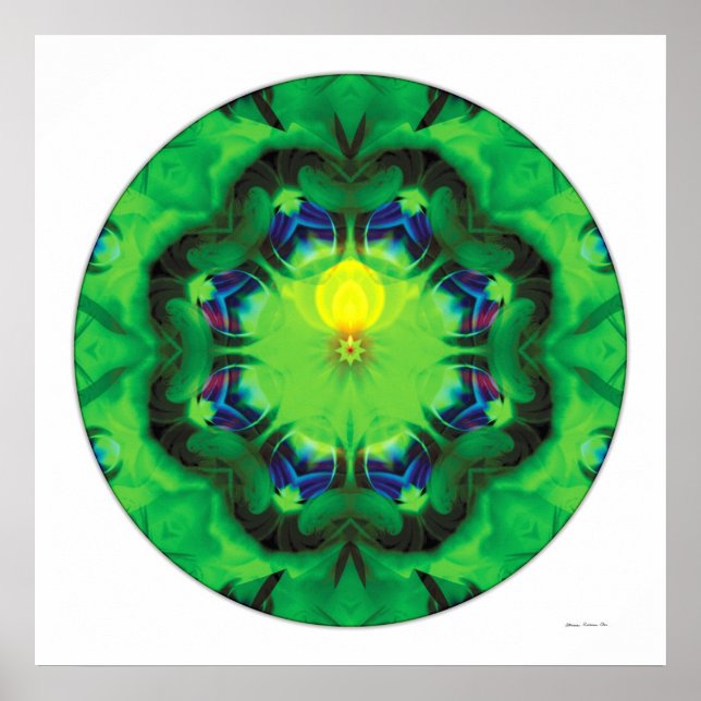 Poster Curando Mandala 3 (Frente)