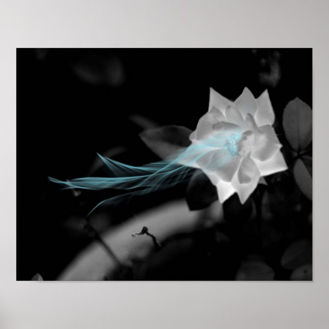 Poster Curar um Coração Quebrado - Bonito Foto Rosa Branc (Frente)