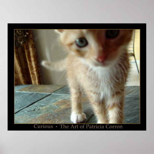 Pôster Curioso (Frente)