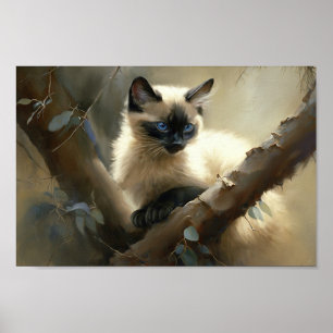 Poster Curioso Clima Siamese Kitten