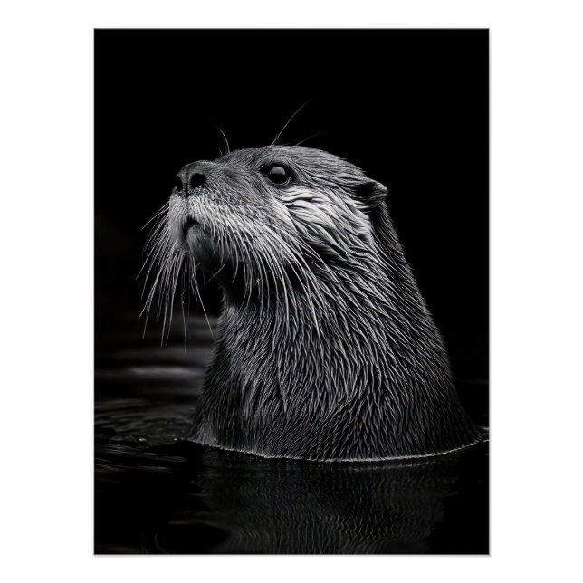Pôster Curious Sea Otter Monochromatic Water Portrait (Frente)