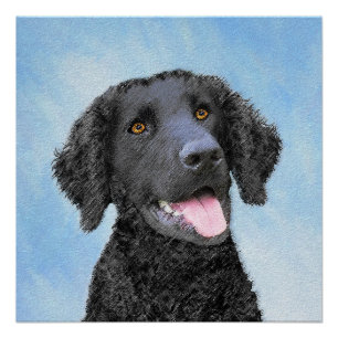 Pôster Curly-Coated Retriever Painting - Original Dog Art