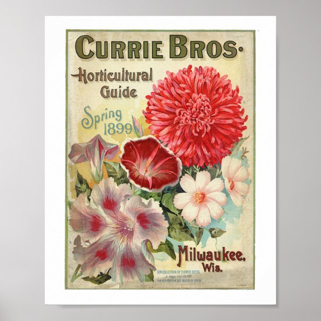 Poster Currie Bros Horticultural Guide 1899 (Frente)
