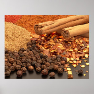 Poster Curry Spices Photo