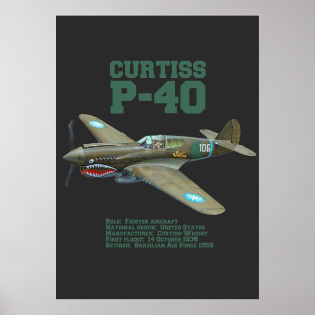Poster Curtiss P-40 Warhawk | Plano WW2 (Frente)
