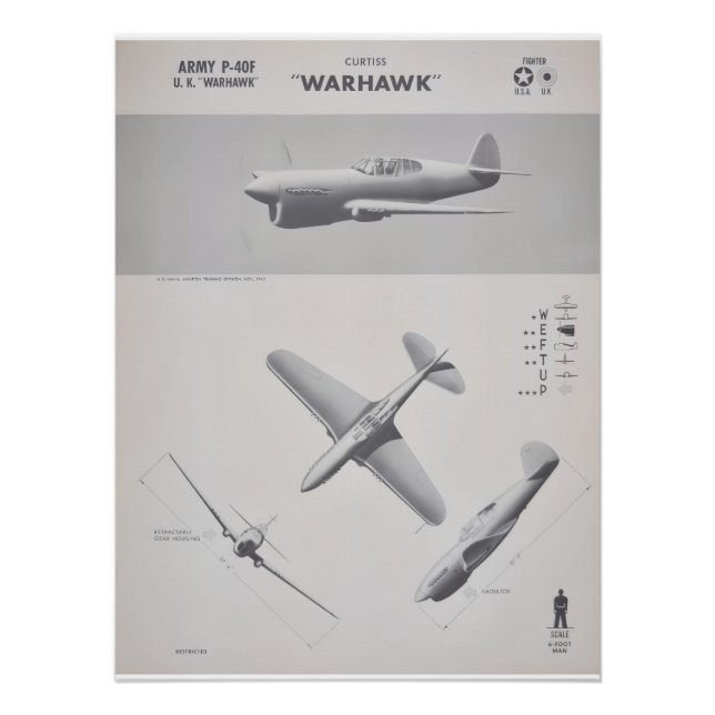 Pôster Curtiss P-40 Warhawk Recognition Poster (Frente)