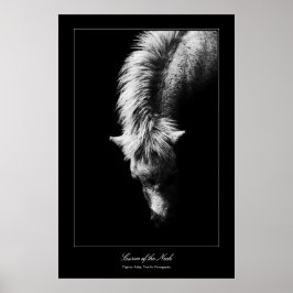 Poster Curva De Belas Artes Do Pescoço, estilo Galeria