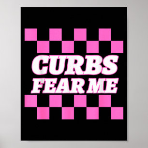 Poster Curvas de Novo Motorista Engraçadas Me Assustam Ma