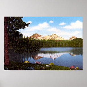 Poster Curvatura Oregon